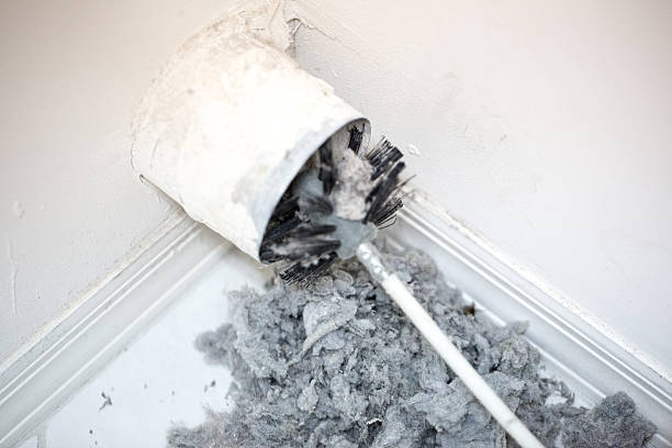 Best Air Duct Sanitizing Services  in Everett, WA